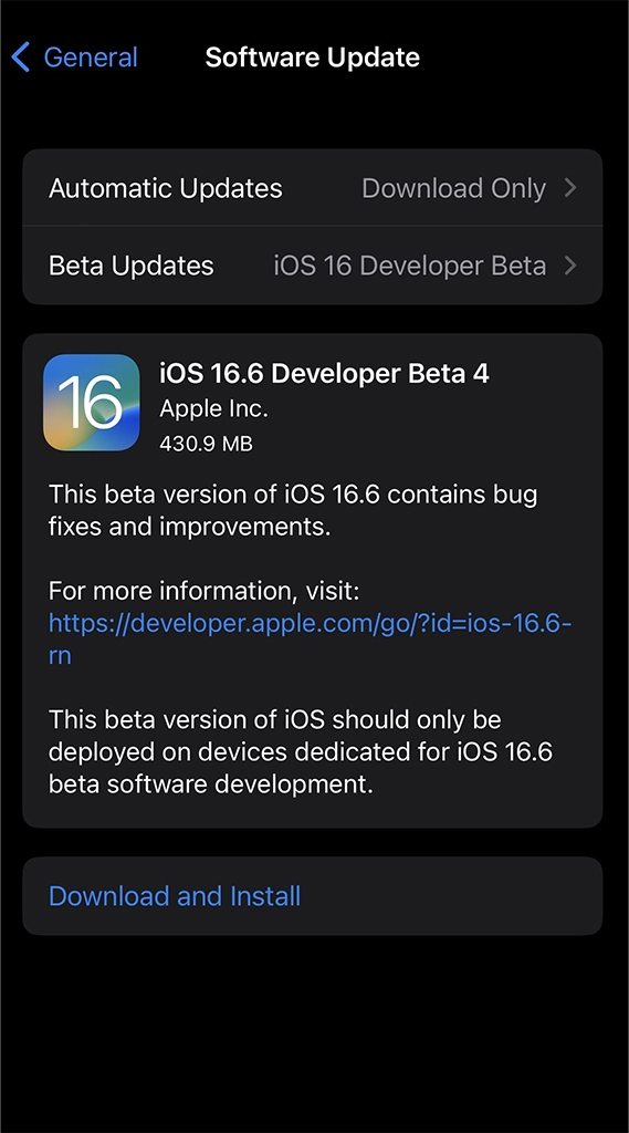 Ios 16 6 beta 4 yay nland 
